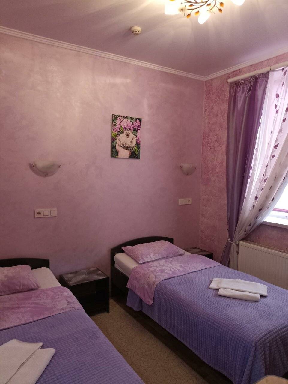 Фото Гостиницы Надежда Таганрог 100